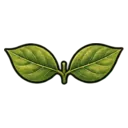 matching leaves illustration